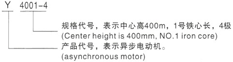 西安泰富西玛Y系列(H355-1000)高压YKK5003-8三相异步电机型号说明