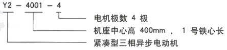 YR系列(H355-1000)高压YKK5003-8三相异步电机西安西玛电机型号说明